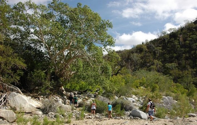 Caminatas en la naturaleza